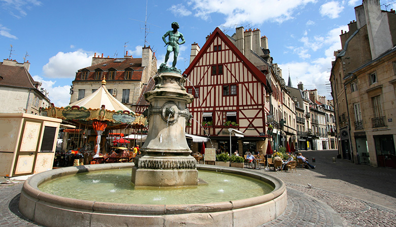 Excursion d'une demi journée en Bourgogne au départ de Dijon : villages pittoresques, patrimoine & paysages