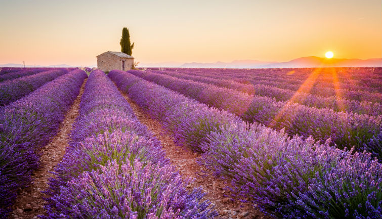 Le Meilleur De La Provence Avec Roussillon - au départ d'Avignon