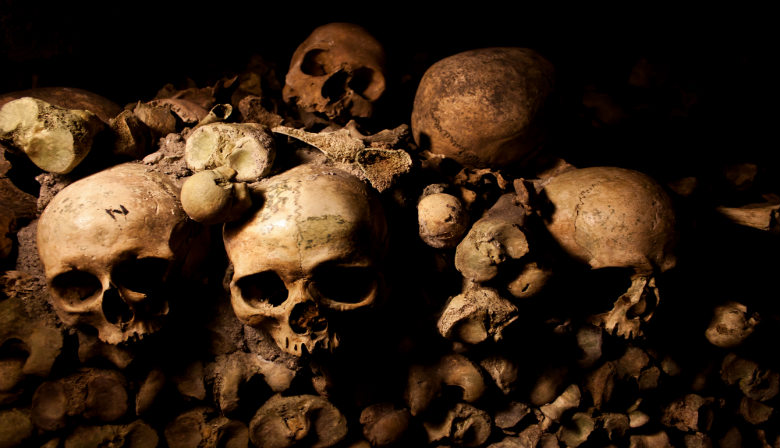 Skull in the Paris Catacombs