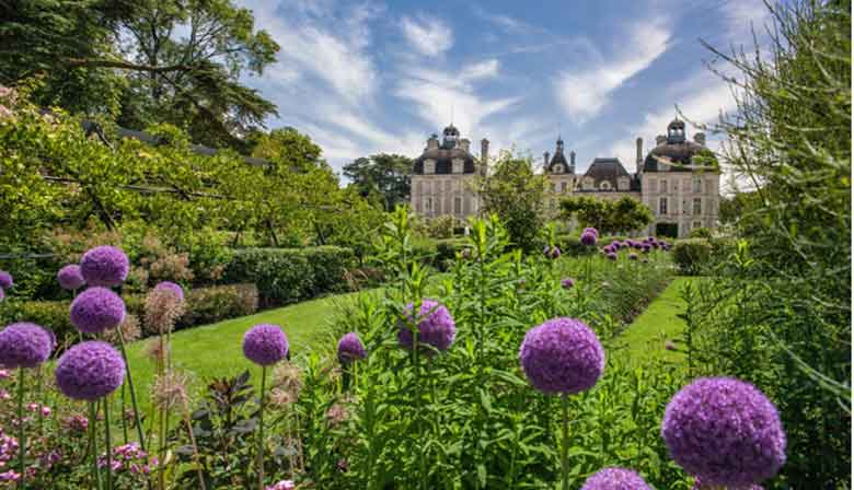 visit the Cheverny Castle with a guide