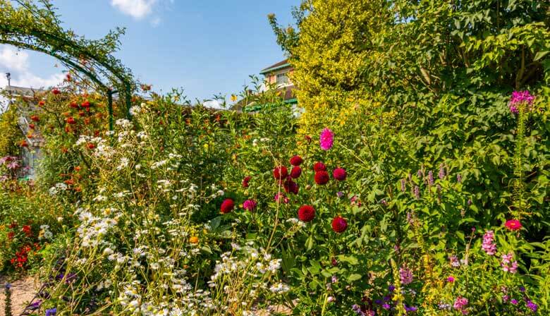 Jardin fleuri à Giverny