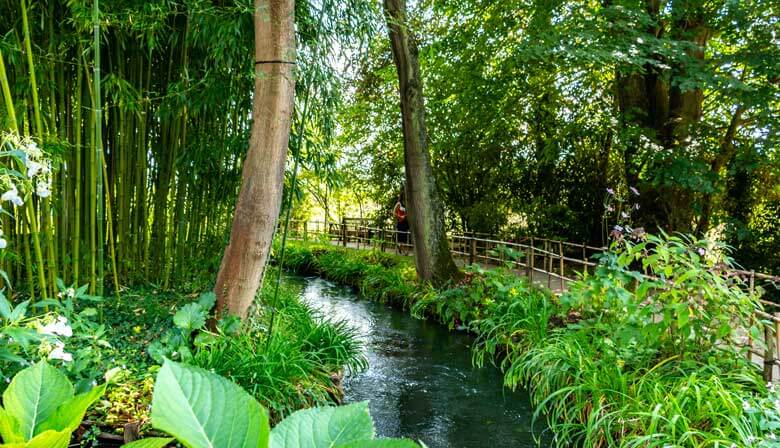 ジベルニーの池の上で日本の池を渡る