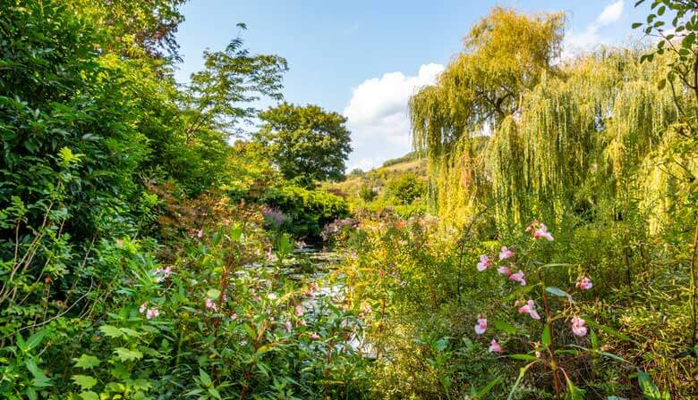 Besuchen Sie die Gärten von Giverny