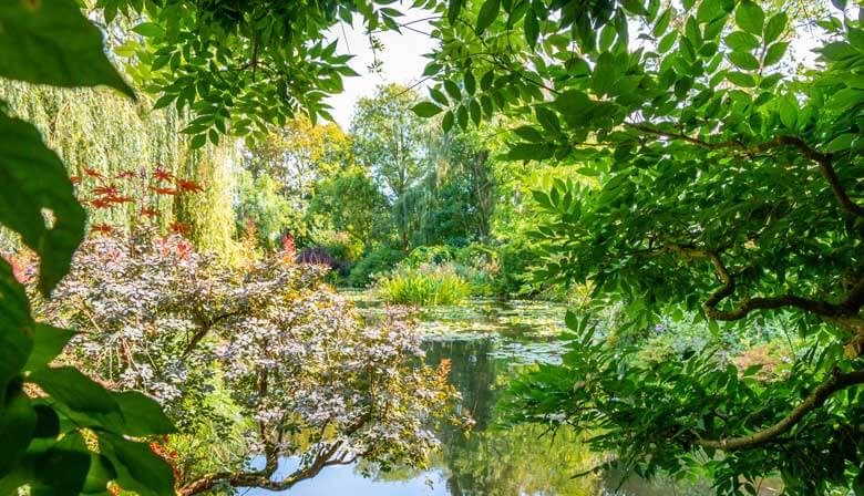 Wassergärten von Claude Monet in Giverny