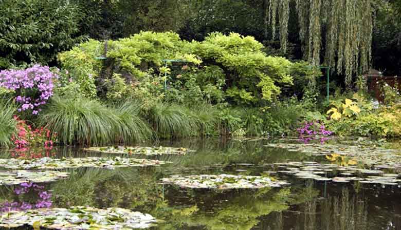 Japenese bridge of giverny's gardens over the nympheas