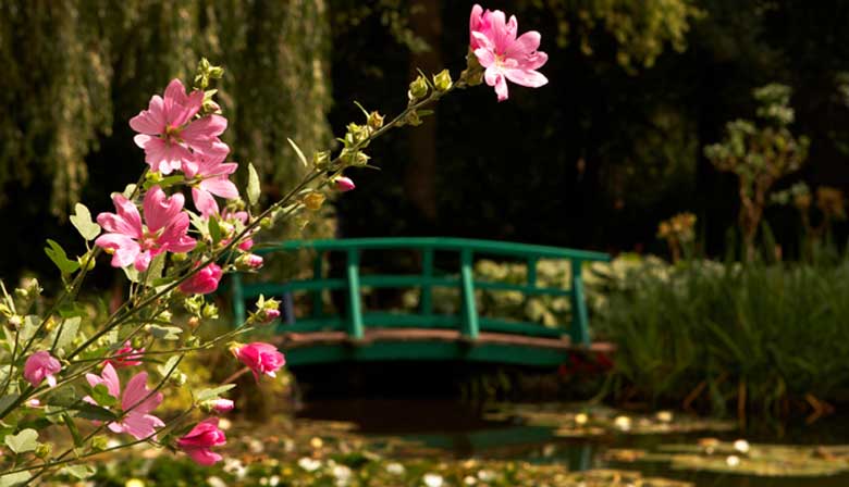 Private Half-Day Guided Tour of Giverny Monet's Gardens with roundtrip transportation from Paris