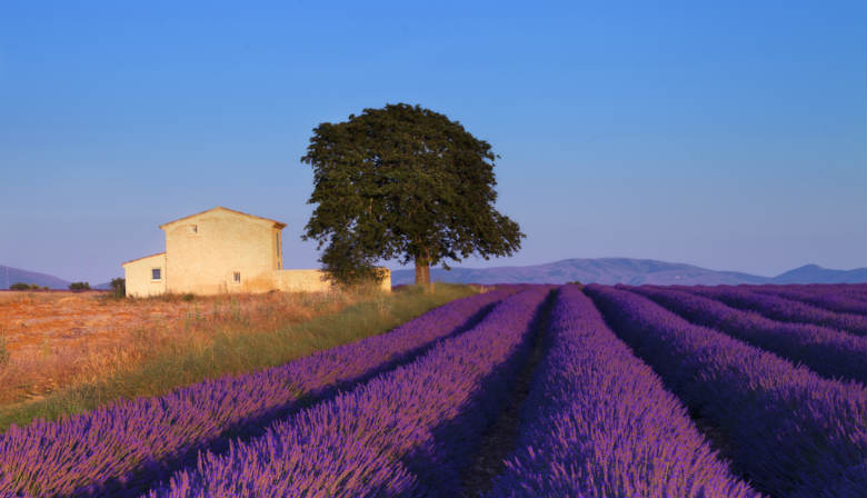 trip to provence from paris