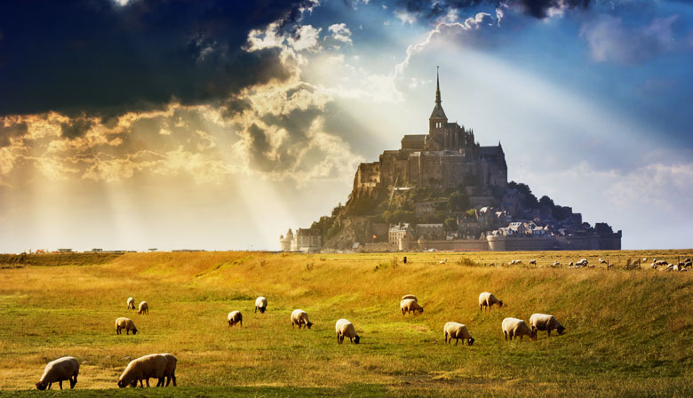 Private guided tour from Paris to Mont Saint Michel