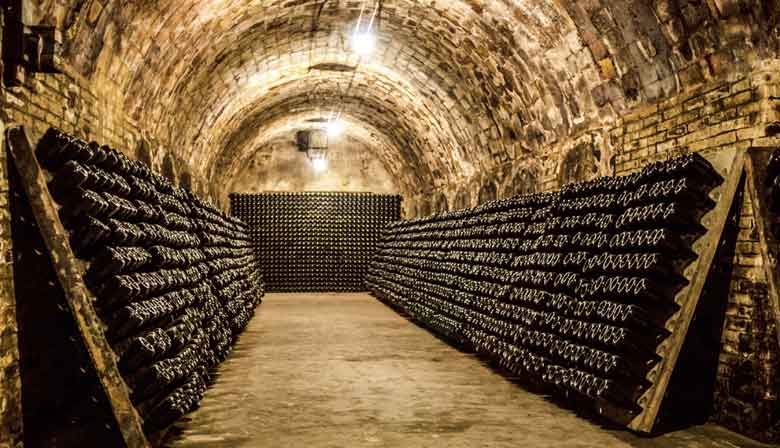 Guided visit of champagne cellars