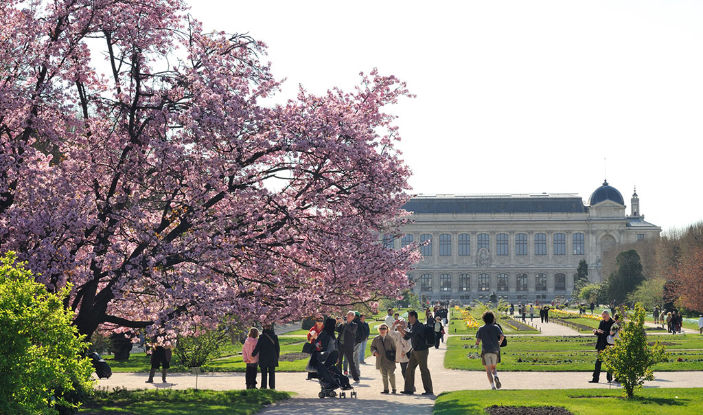 Los Parques Y Jardines Mas Hermosos De Paris En Primavera Pariscityvision