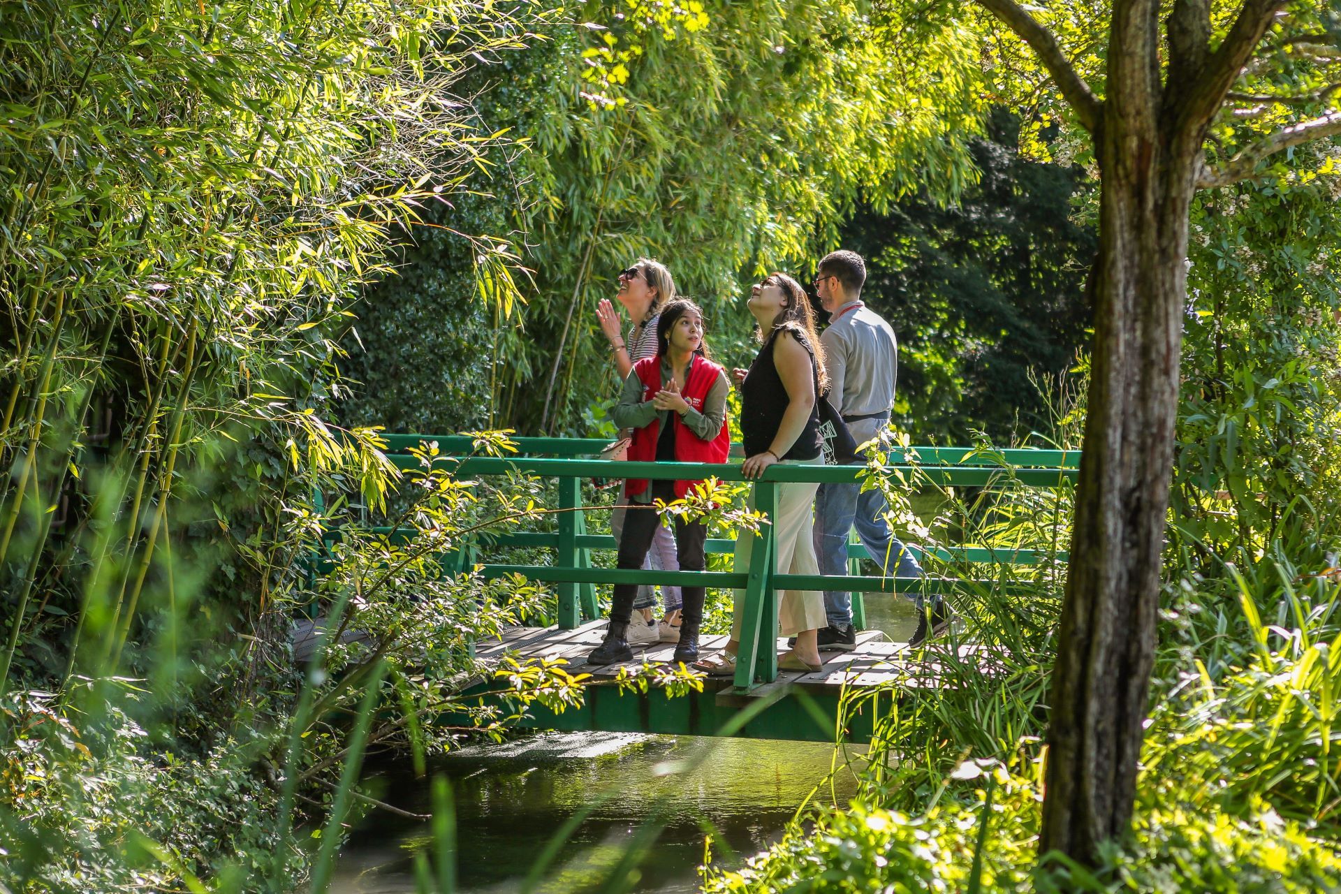 Discover japenese bridge in Giverny